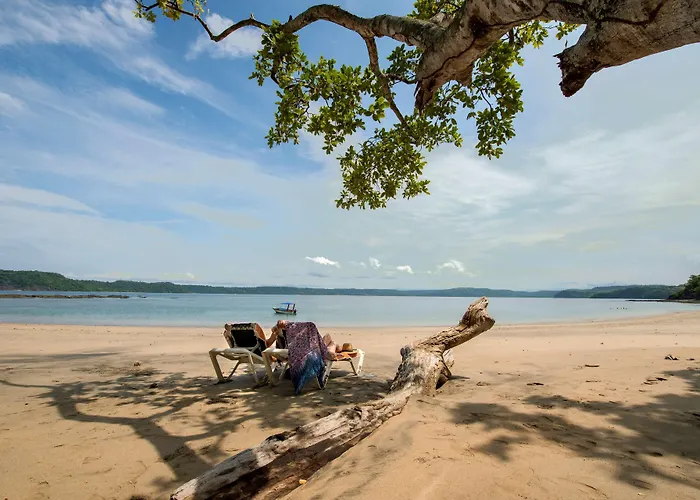 Occidental Papagayo (adults Only) Resort Culebra
